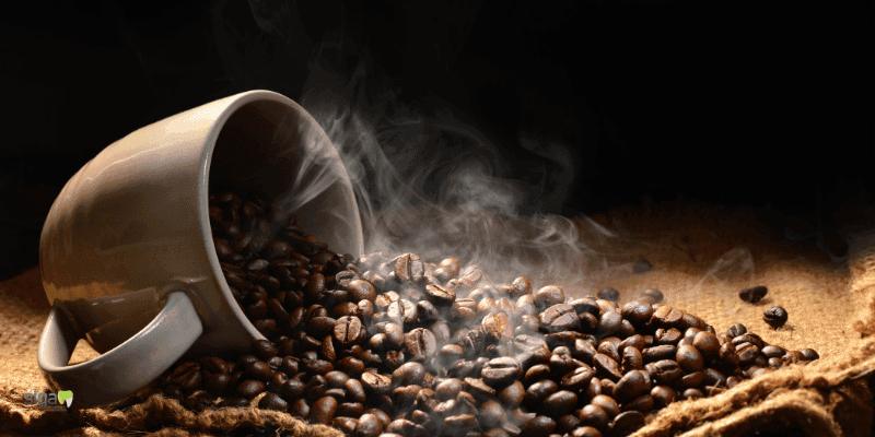 6 Hábitos Essenciais para Entusiastas de Café